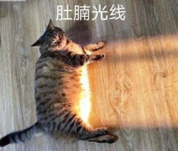 【研发笔记】这是一篇从“战场测试”上回来的小小日记-日常篇