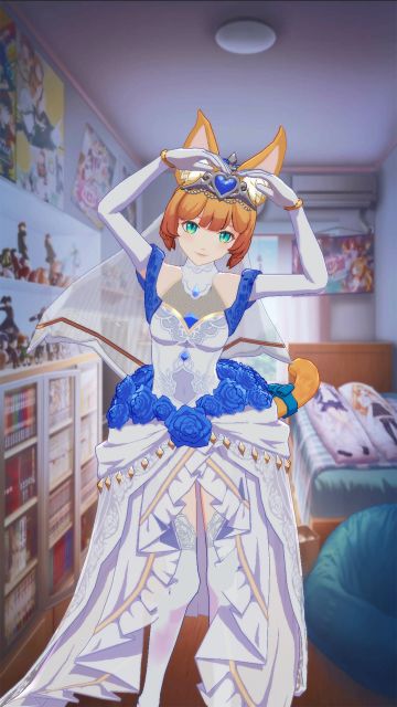 【猫百科】琉璃的养猫需知小课堂！