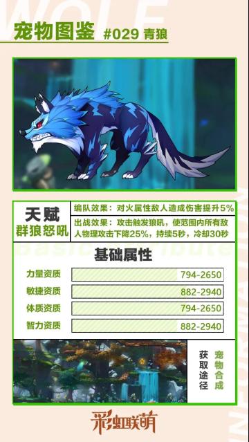 【萌宠图鉴】狼族族草——青狼