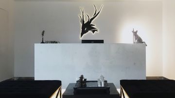 [访谈] 《明日方舟》与意料之外的二次元塔防