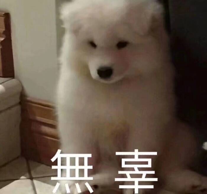 村子招人截图
