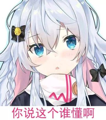 【萌新向】特殊专有名词解析