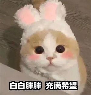 官方开楼——来吧！在这里尽情催开服吧！