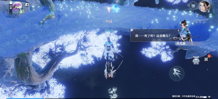 画质确实好,梦幻玩法截图