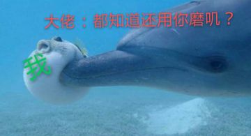 关于挑战因子的介绍