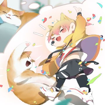 今天好像收到了来自超喵星的礼物！