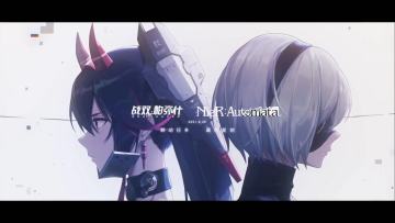 尼尔联动 最终复刻！最全的尼尔攻略，阶级搭配 意识共鸣 实战手法，为尼尔联动画上完美的句号。