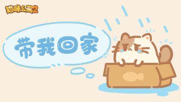 20只小猫咪在线找家TAT