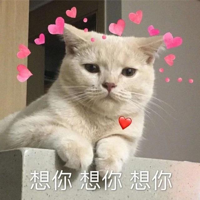 嘤嘤嘤,终于近战屠夫了,摸摸哒虎子哥哥很满意等......截图