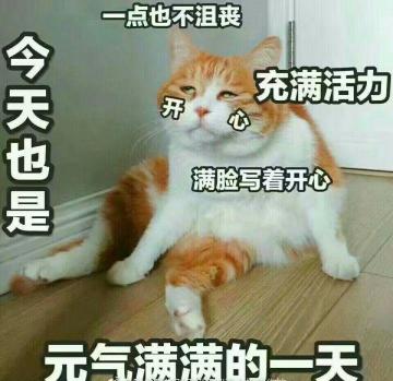 【绝对演绎】大明星！请来这里查收你的五月通告单！