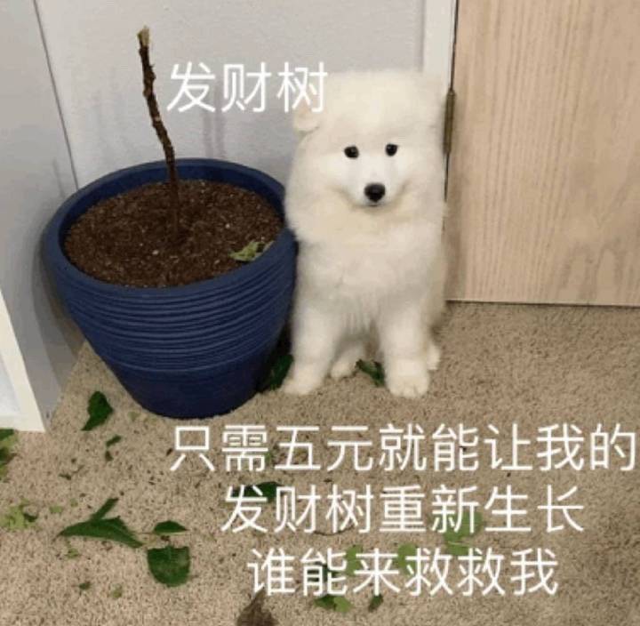 凌霄宗日常截图