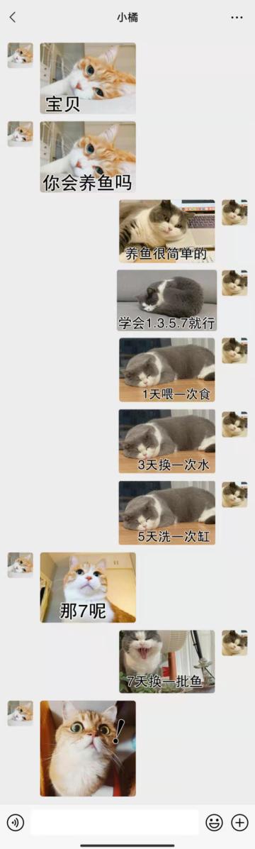 【表情包专栏】如果喵星人也会养鱼的话...