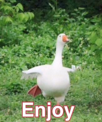 【问题收集】开测版本的问题、建议、bug收集帖~~~