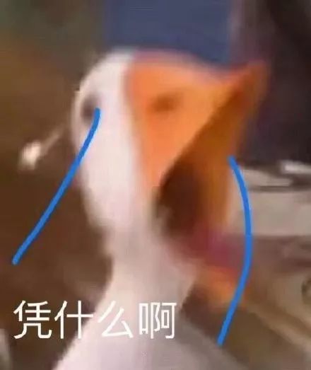 寻游！！！截图
