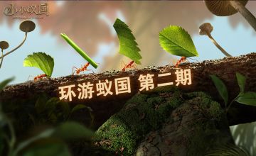 【环游蚁国】凡事离不开吃喝，蚂蚁也是 下篇