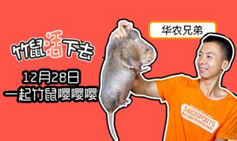 [粉丝福利]华农兄弟化身竹鼠竟惨遭...