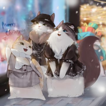 亲爱的铲屎菌们~~平安夜快乐~~~Magic猫咖开业筹备中！~✿✿ヽ(°▽°)ノ✿