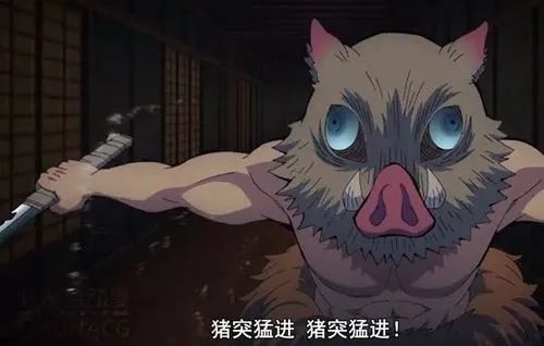 九星远征五层露西亚,猪突猛进!截图