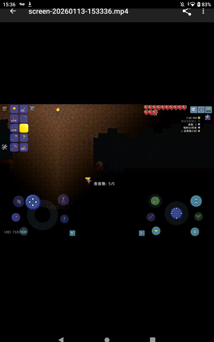 指金鱼为金金鱼吗?截图
