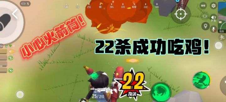新年的第一次22杀截图
