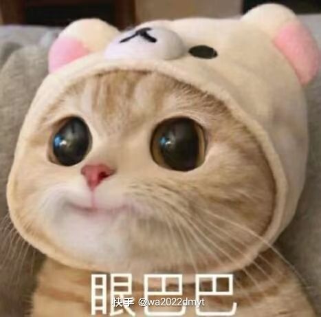 千万不要在队友面前打信号枪截图