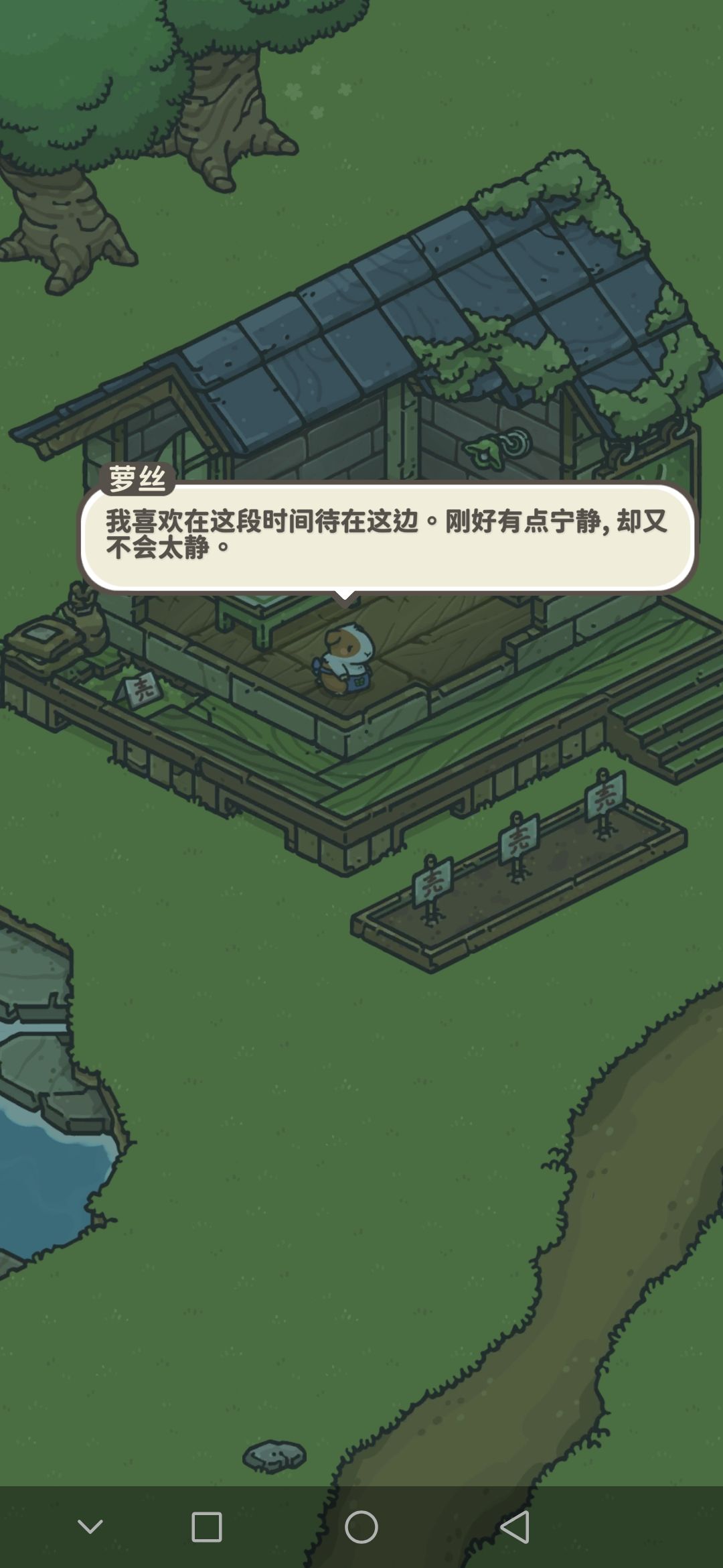 动态图片 8
