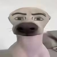 video-5430881