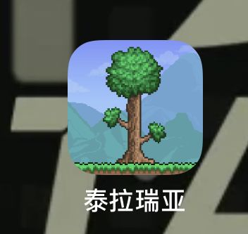 video-4142490