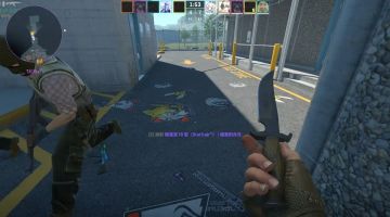 CS个人饰品搭配建议