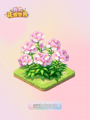 内含兑换码🎁丨鲜花礼包🌸「蜜粉龙面花」即将上新！