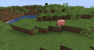 萌新应该认识的动物都在这里啦！