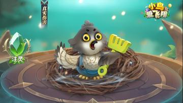 《小鸟爱飞翔》萌宠图鉴丨银颈蜂鹰