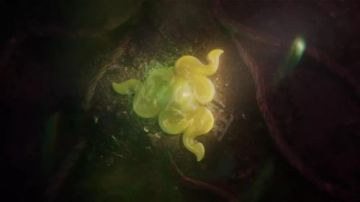 《永劫无间》手游-魂玉图鉴