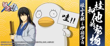 桂和他的宠物——桂小太郎&伊丽莎白