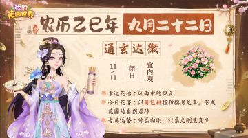 【花园运势】十一月花事手札