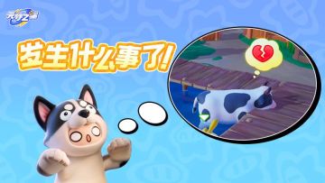 不懂就问，你们钓鱼也这样吗？