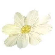 欢迎来到奇妙的童话世界！