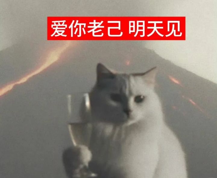 最懂“爱你老己”的网易逆子,成了年轻人的精神嘴替截图