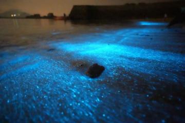 新时装比星星还要闪？不如穿上去平潭岛海边，PK一番！