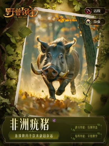 【野兽图鉴】猪突猛进，非洲疣猪前来报到！