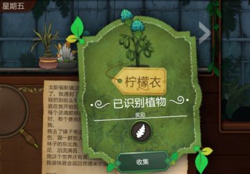 《奇异园艺》移动版正式上线日期公布：8.13开启解谜之旅