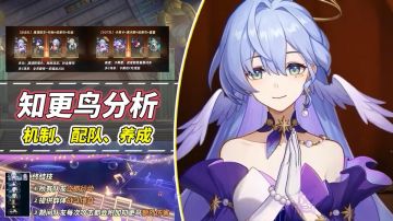 【V2.1攻略】知更鸟分析｜追击、DOT新队友？群体拉条增益挺稀罕
