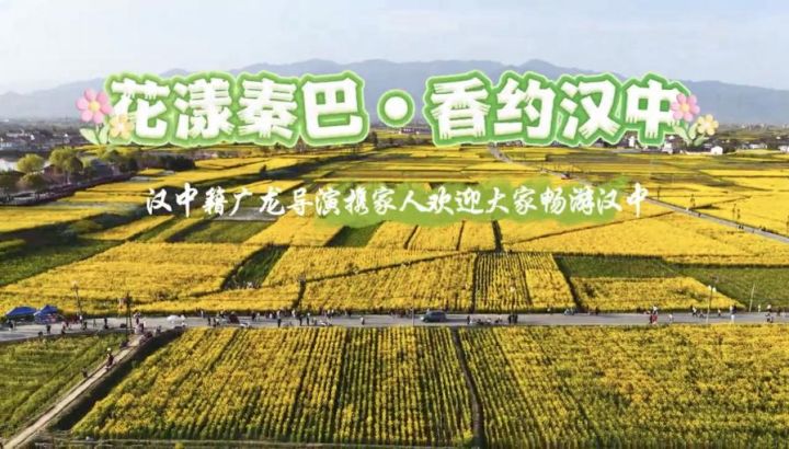 花漾秦巴香约汉中 广龙导演携家人代言春日花海截图