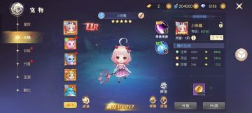 宠物新手进阶篇