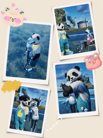 鲨鱼与熊猫的爱情故事，这集是我能看的吗！丨星球达人秀