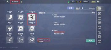 【萌新攻略】新手攻略第四期：角色、宠物、侍从战力进阶！