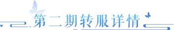 新一期【转服】即将开启，第二战区服务器公布！