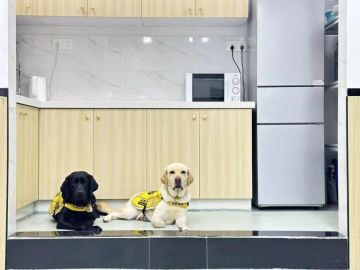 蜗牛公益|导盲犬有新家啦，广州导盲犬学校新校舍已投入使用~