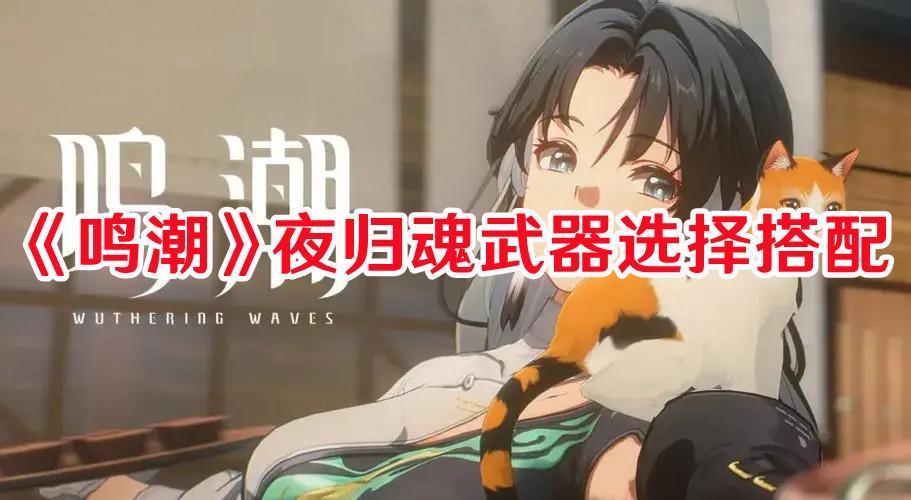 鸣潮夜归魂武器怎么选择截图