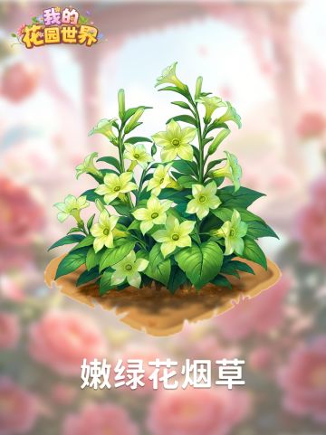 内含兑换码🎁丨密令焕新 邂逅花韵